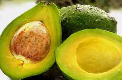 cara mudah dan murah atasi disfungsi ereksi dengan alpukat