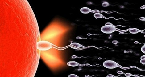 ciri-ciri kualitas sperma yang baik dan cara memperbaiki kualitas sperma