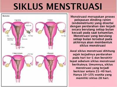 siklus menstruasi