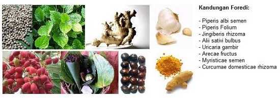 obat kuat tradisional